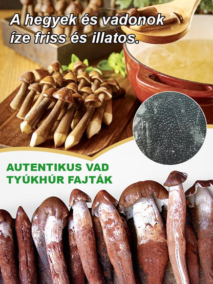 Autentikus "Jizong" gombafajta