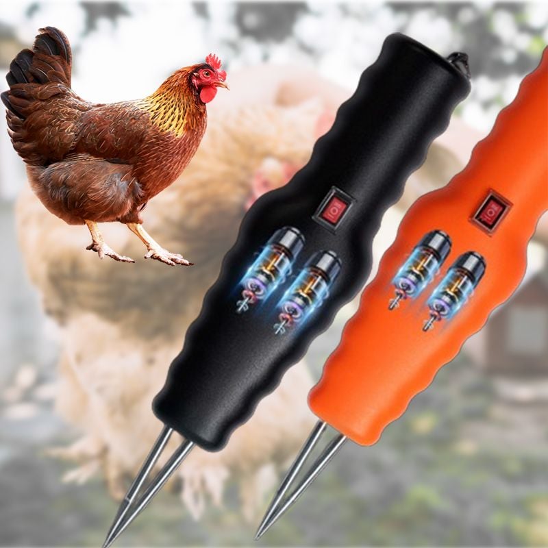 Elektromos gyors csirkeszívó (megkönnyíti a dolgokat)