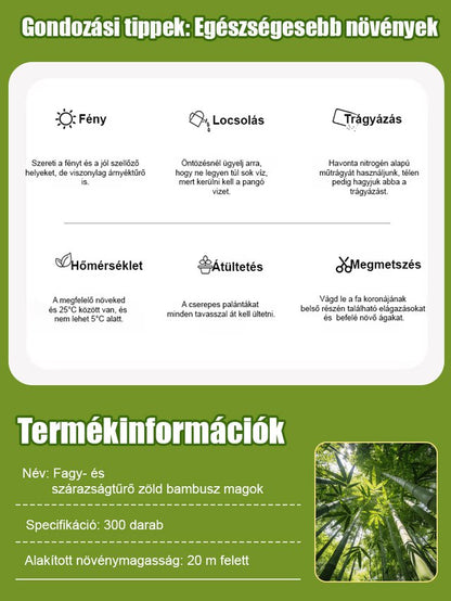 【Levegőtisztító】Fagy- és aszálytűrő zöld bambuszmagok